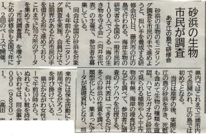 20140517江ノ島 砂浜海岸生物調査報告3