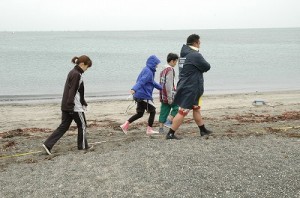 神奈川20080510砂浜海岸生物調査